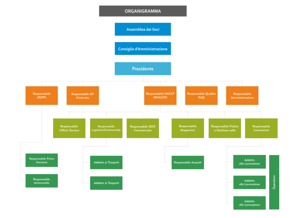 organigramma