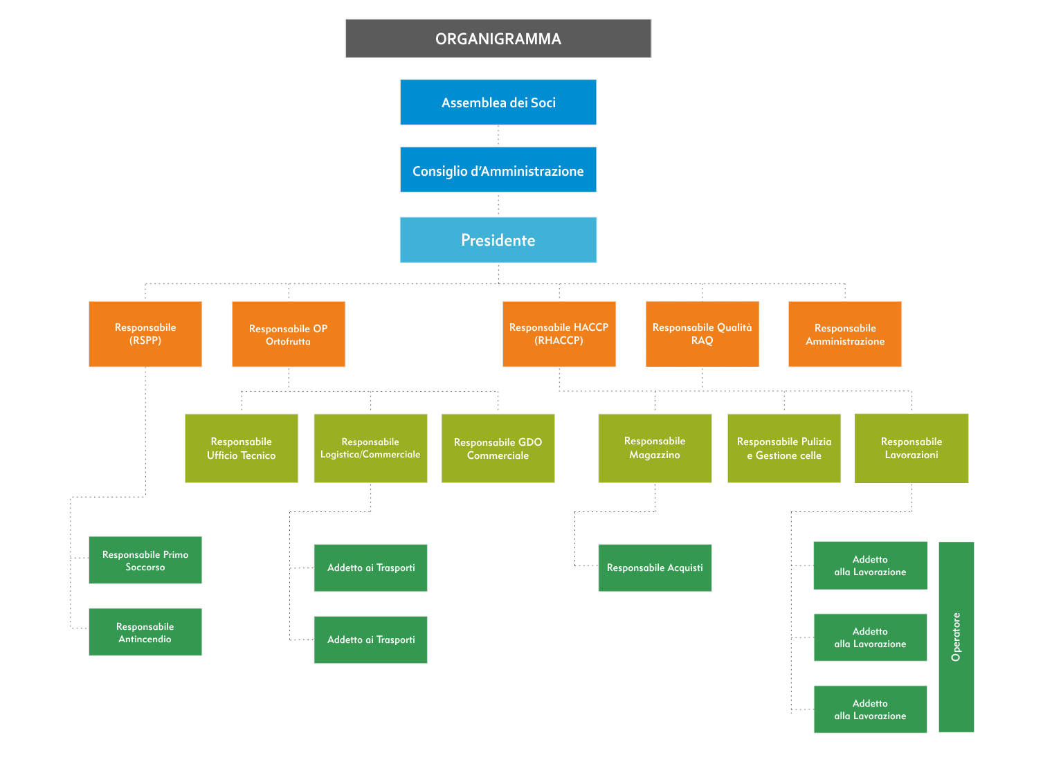 organigramma